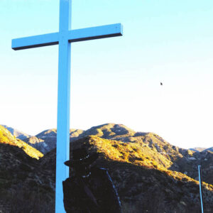 I Lay Down My Life for You - Director's Cut (CD)
