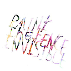 Paint the Fence Invisible (CD)