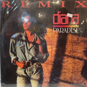 Paradise Remix (USED LP)