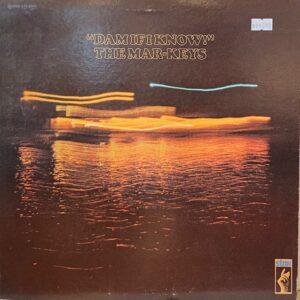 Damifiknow (USED LP)