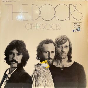 Other Voices (USED LP)
