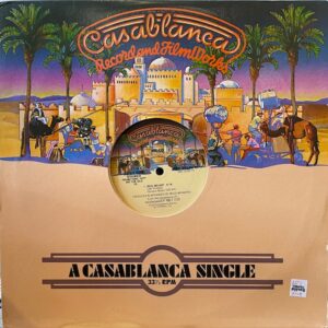 Devil Delight (USED LP)