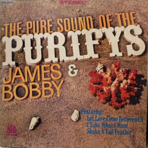 Pure Sound of the Purifys (USED LP)