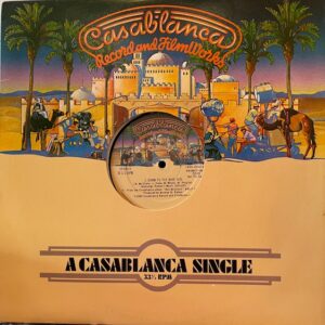Down to the Wire (USED LP)