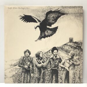 When the Eagle Flies (USED LP)