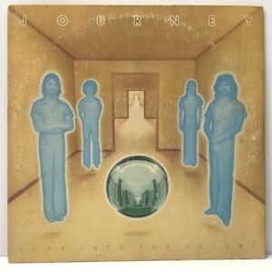 Look Into the Future (USED LP)