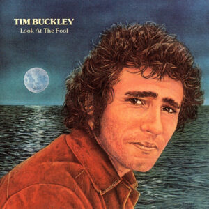 LOOK AT THE FOOL (CD)