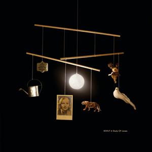 Study of Losses (New LP)