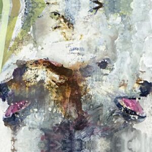 TAIL SWALLOWER & DOVE (CD)