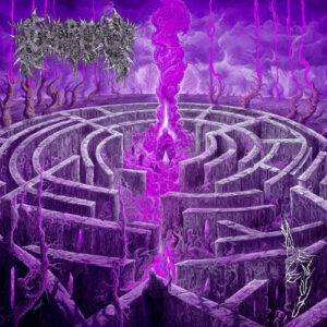 Maze Envy (NEW LP)