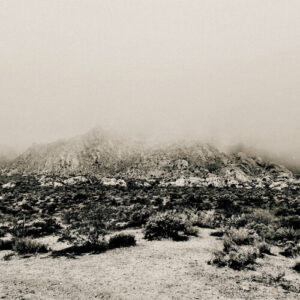 Mnemonic: Ambient Mosaic (NEW LP)