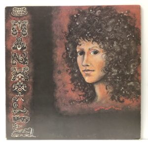 Manhole (USED LP)
