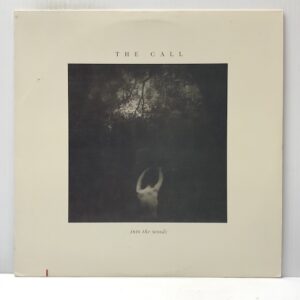 Into The Woods (USED LP)