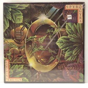 Catching the Sun (USED LP)