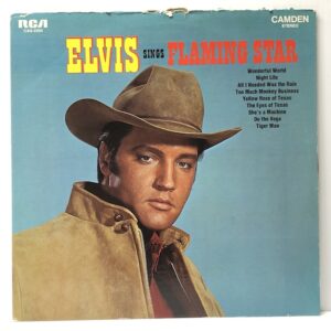 Flaming Star and Others (USED LP)