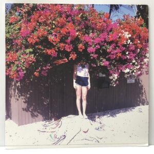 Sunlight On the Moon (USED LP)