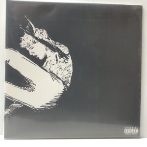 Tickets to My Downfall (USED LP)