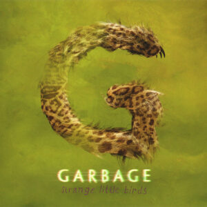 STRANGE LITTLE BIRDS (CD)