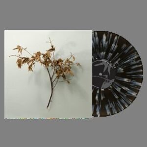 In Motion (New LP)