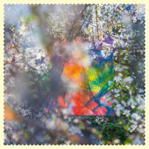 SIXTEEN OCEANS (NEW LP)