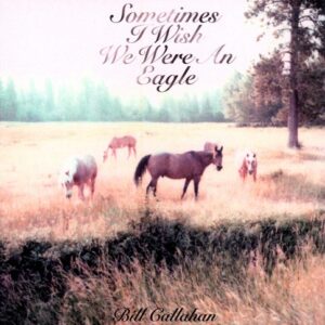 Sometimes I Wish We Were An Eagle (NEW LP)