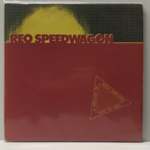 Decade of Rock and Roll 1970 to 1980 (USED LP)