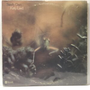 Katy Lied (USED LP)
