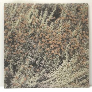 If I Am Only My Thoughts (USED LP)