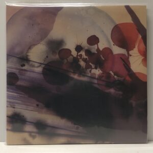 Swoon (USED LP)