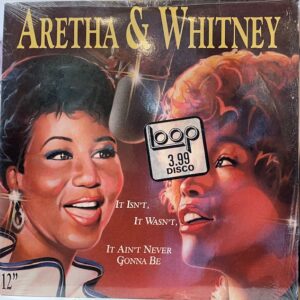 It Isnt It Wasnt It Aint Never Gonna Be (USED LP)
