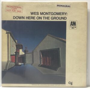 Down Here On the Ground (USED LP)