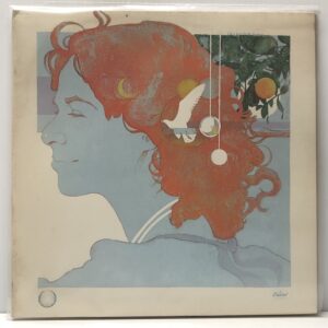 Simple Things (USED LP)