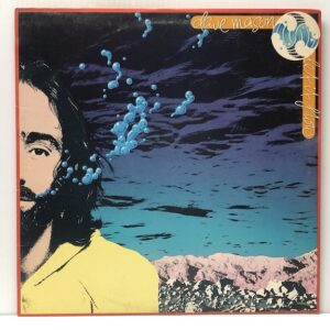 Let It Flow (USED LP)