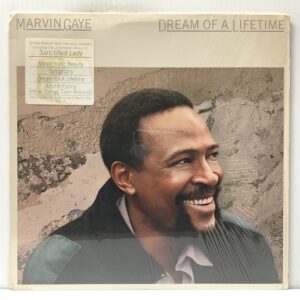 Dream of a Lifetime (USED LP)