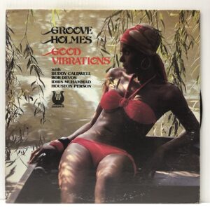 Good Vibrations (USED LP)