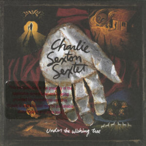 UNDER THE WISHING TREE (CD)