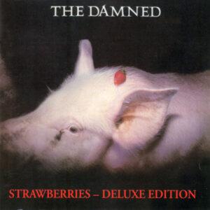 STRAWBERRIES (CD)