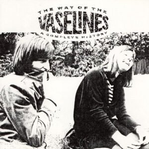 The Way of the Vaselines (New LP)