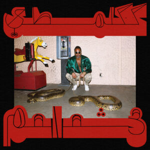 Robed in Rareness (New LP)