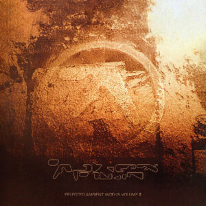 Selected Ambient Works Volume II (CD)