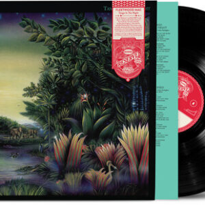 Tango In The Night (New LP)