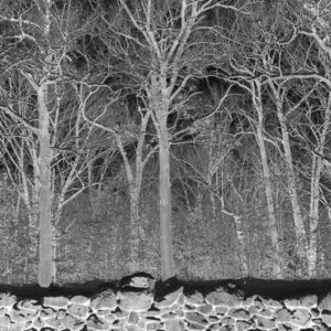 Sunshine & Balance Beams (New LP)
