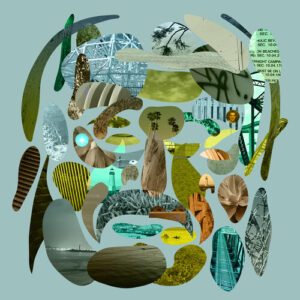 Santa Cruz (CD)