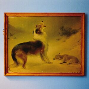 'The Rescue (Anniversary Edition)’ (New LP)