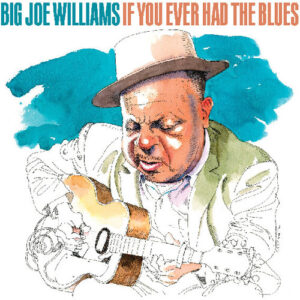 If You Ever Had The Blues (CD)