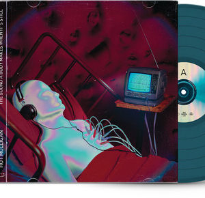 The Sound a Body Makes When It's Still (New LP)