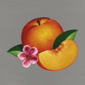 BANKRUPT! (CD)