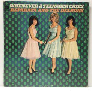Whenever A Teenager Cries (USED LP)
