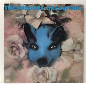 Dream Hog (USED LP)