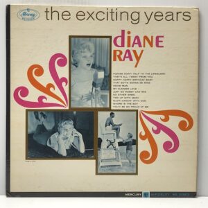 Exciting Years (USED LP)